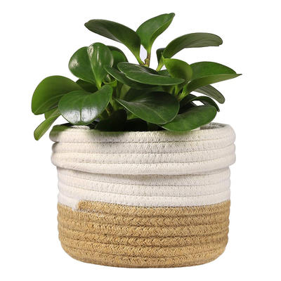 classic simple design folding cotton rope basket for plant suit for 4-6" diameter plants pots
