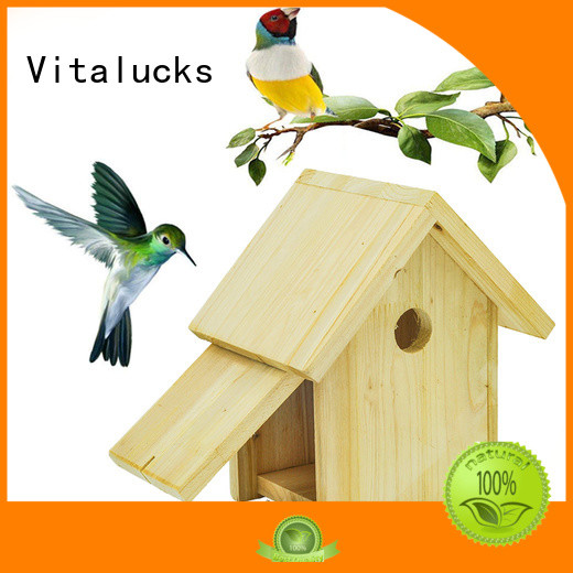 Vitalucks latest wooden bird box custom fast delivery