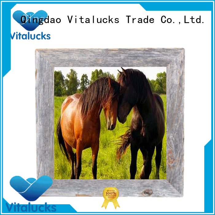 Vitalucks custom size frames wholesale supply best factory