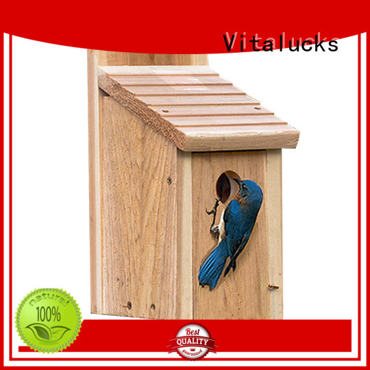 Vitalucks wooden bird box custom bulk supply